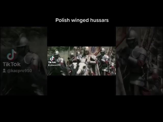 Polish winged hussars #shorts