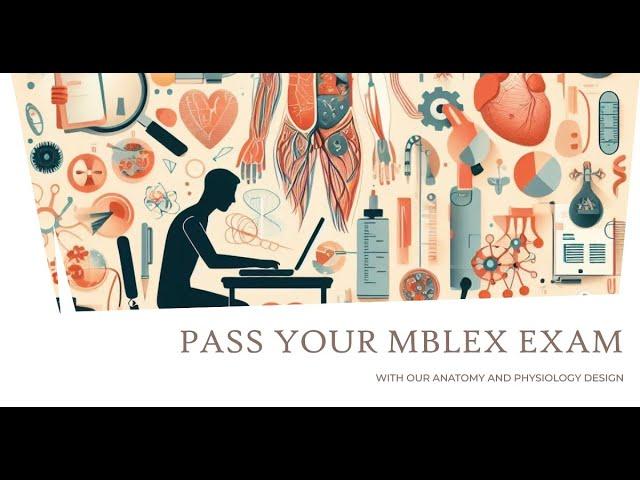 MBLEx Practice Exam anatomy and physiology part 1