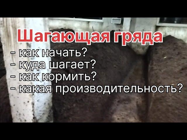 Технология "Шагающая гряда".