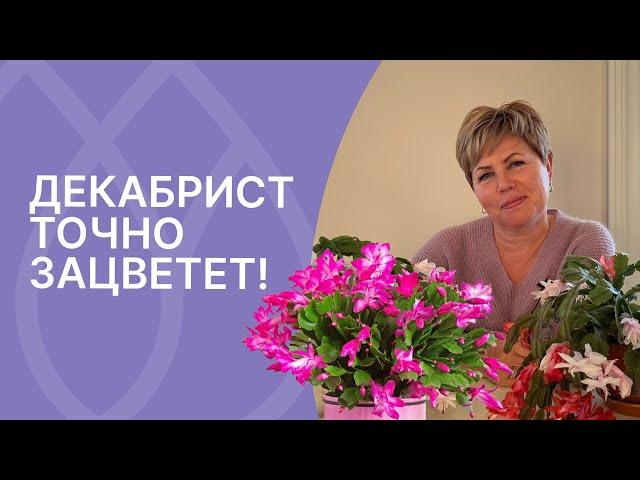 Главные правила цветения декабриста!