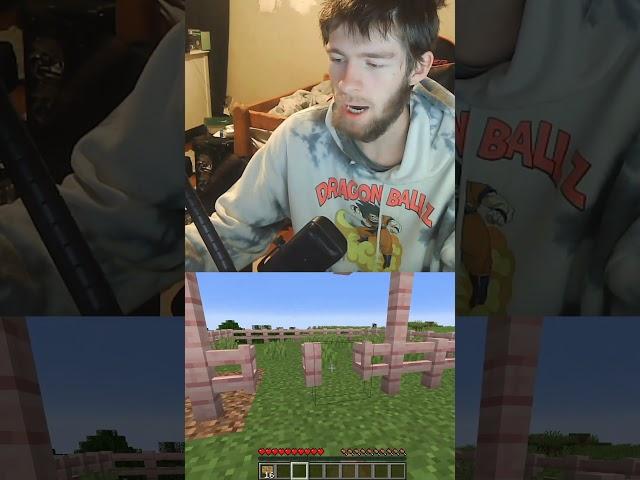 Subscriber Garden Day #1 #viral #short #shorts #minecraft #minecraftshorts #subscribe #smallyoutuber