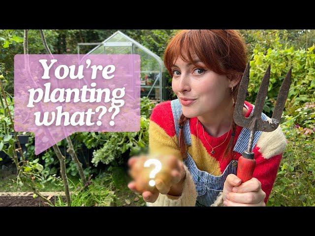 October Gardening Guide  BEST Crops to Plant & Tasks to Prepare Your Fall Garden 