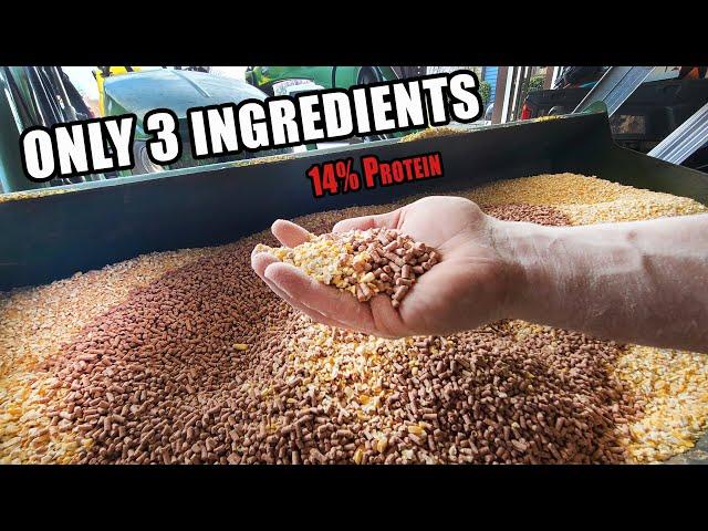 EASY PIG FEED MIX - Only 3 Ingredients 14% Protein