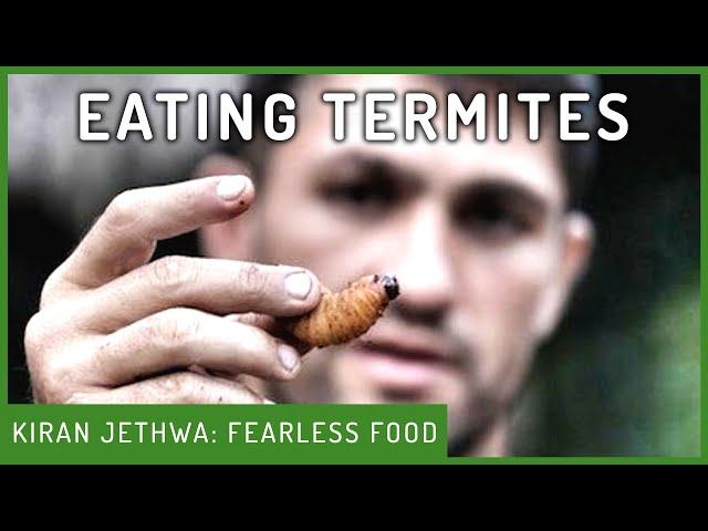 Eating Termites In Peru! | Fearless Food | Kiran Jethwa