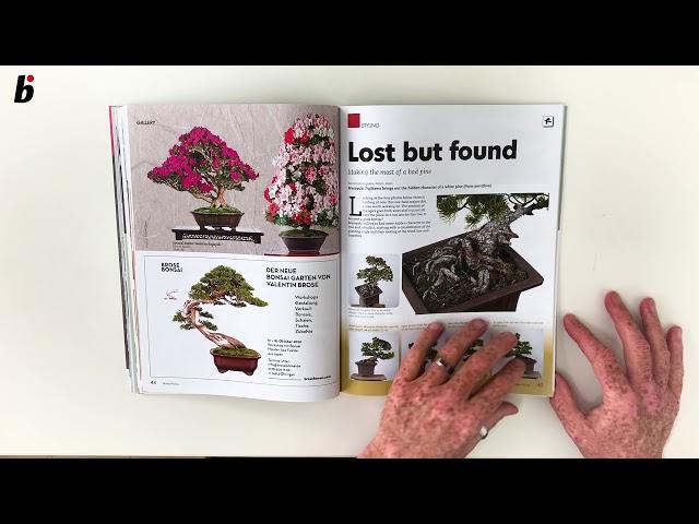 The May /June issue  Bonsai Focus