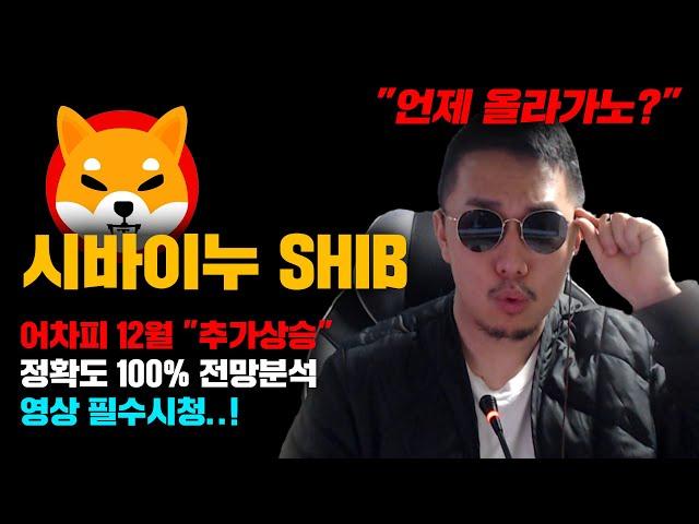 시바이누 SHIB [긴급] 도지코인도 설명해줌! 빠르면 다음주, 늦어도 12월부터 "추가상승" 나온다..! 정확도 100% 전망분석, 영상 필수시청..! #코인시황