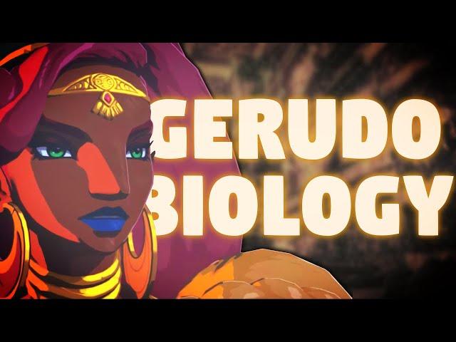 The FASCINATING Biology of the Gerudo Tribe - Breath of the Wild Lore