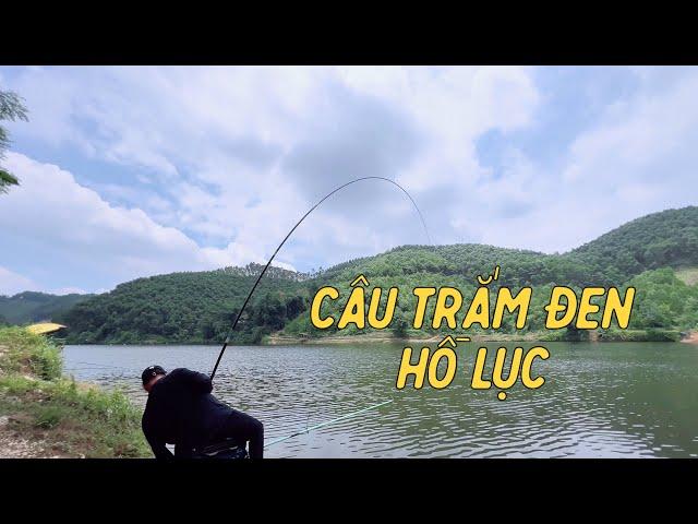 Câu Cá Trắm Đen Hồ Lục Yên Bái | Chung Nguyễn Fishing