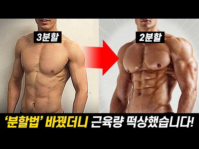 헬스 초보자는 무조건 '2분할'하세요!  (일반인이 3분할/고분할법 루틴으로 근육량 늘릴수 없는 이유!?)