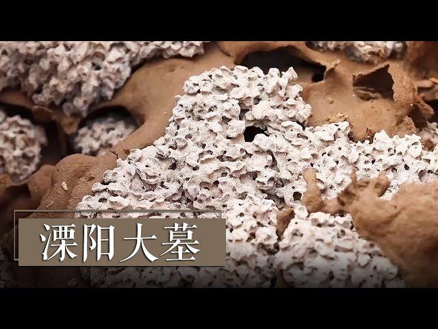 揭秘石棺中的白色珊瑚状诡异花朵《2019考古进行时》第一季 溧阳大墓 | 中华国宝