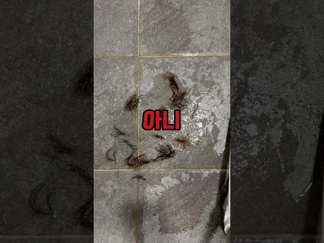 진짜 미쳤습니다! 이런게 대한민국에?! 네이버에 브리퍼 빗자루 빨리 검색 해보세요! #주부추천템 #청소용품