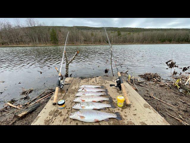 Stocked TROUT FISHING with Powerbait