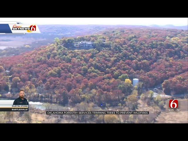 Oklahoma Forestry Services Trimming Trees To Prevent Wildfires