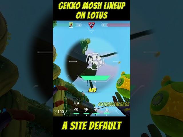 Gekko Mosh Pit Lineup on LOTUS | A SITE Default #발로란트 #valorantclips #youtubeshorts