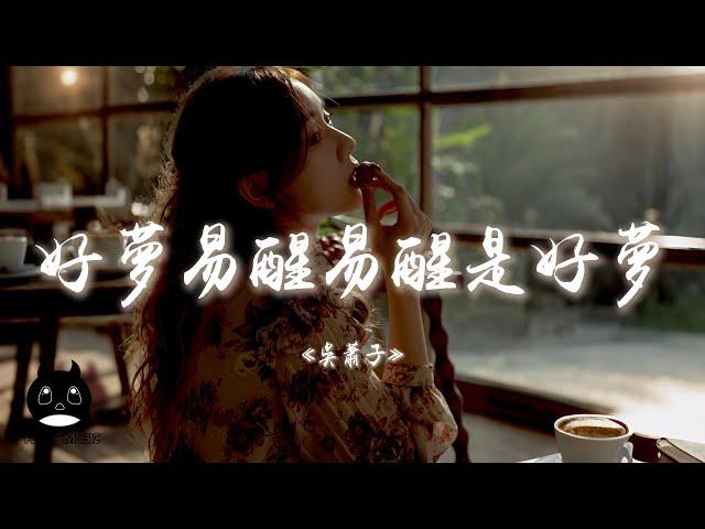 吳蕭子 - 好夢易醒易醒是好夢『我問天呀天呀不應我，是不是天也不懂情。』【動態歌詞 | Pinyin Lyrics】【PENGUIN MUSIC】