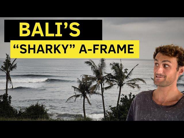 Surfing Balian (Bali’s “Sharky” Spot) || What’s it Actually Like!?