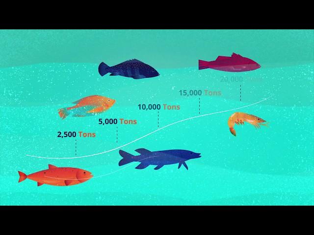 What is Recirculating Aquaculture System (RAS) technology? by AquaMaof