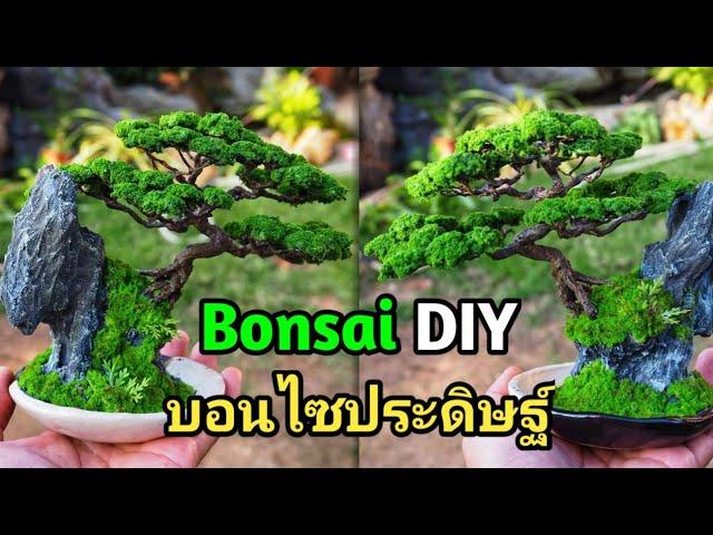 ต้นไม้ประดิษฐ์ บอนไซเกาะหินDIY | MOS 2545 (ขายเเล้ว)