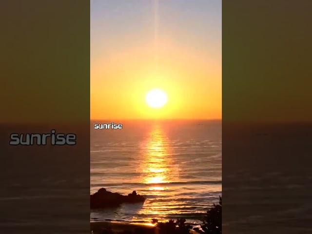 #Sunrise #양양 #일출