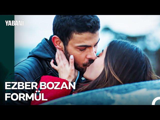Yaman'ı Sakinleştiren Öpücük - Yabani