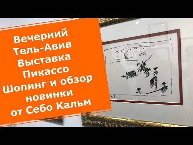 Вечерний Тель-Авив. Магазины в поиске рюкзака. Выставка Пикассо. Обзор новинки от Себо Кальм .