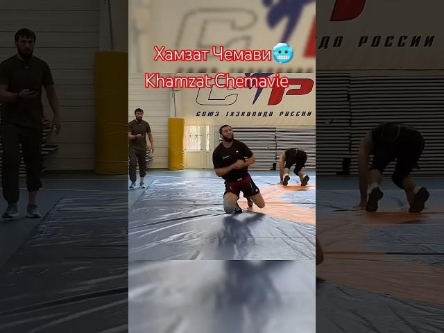 Khamzat Chemavie training for UFC title #ufc313 #ufc #khamzat_chimaev #dricusduplessis #chechnya #ru