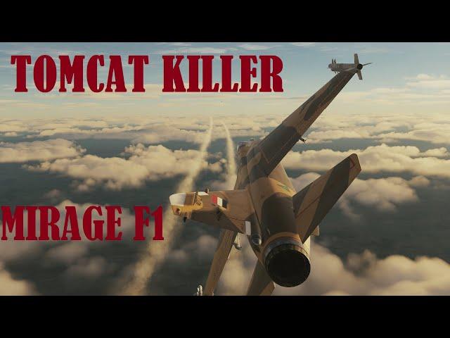 Mirage F1s Shoot Down F-14  Tomcats (Iran-Iraq War)