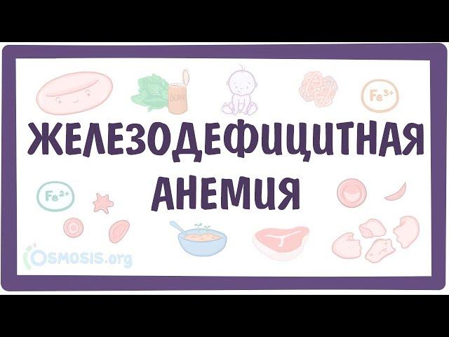 Железодефицитная анемия (ЖДА) — причины, симптомы, патогенез, диагностика, лечение