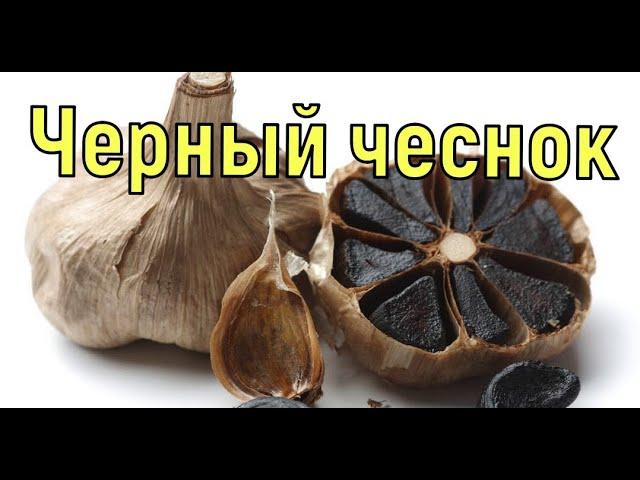 Черный чеснок. Мой эксперимент