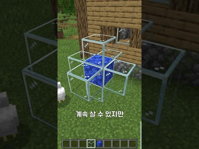 마인크래프트 자바vs베드락
