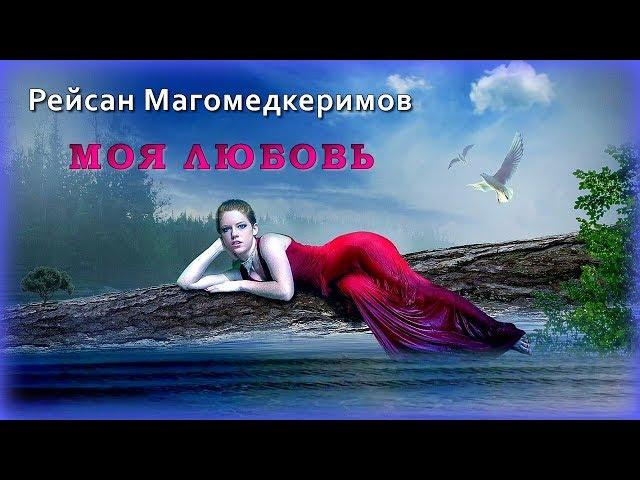 Рейсан Магомедкеримов - Моя любовь | Шансон Юга