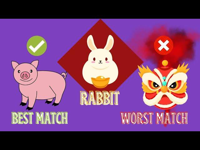 The Best And Worst Chinese Zodiac Compatibility For All Signs | Ziggy Natural