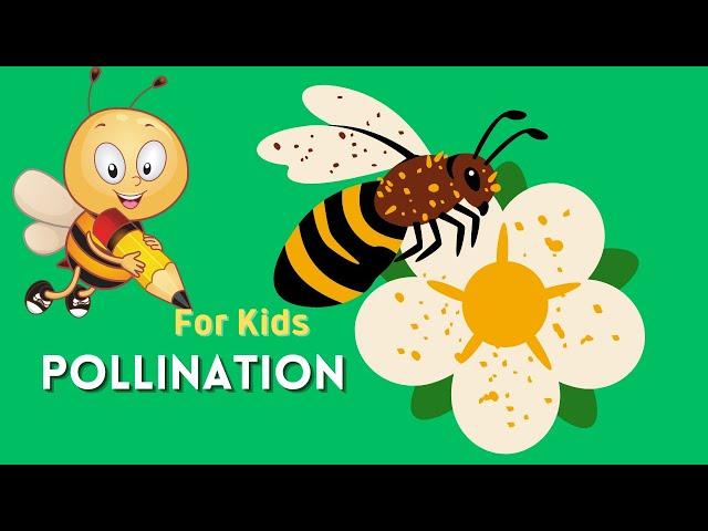 Pollination For Kids | What Is Pollination ? | Are Wasps Pollinators ? | Pollination Agents