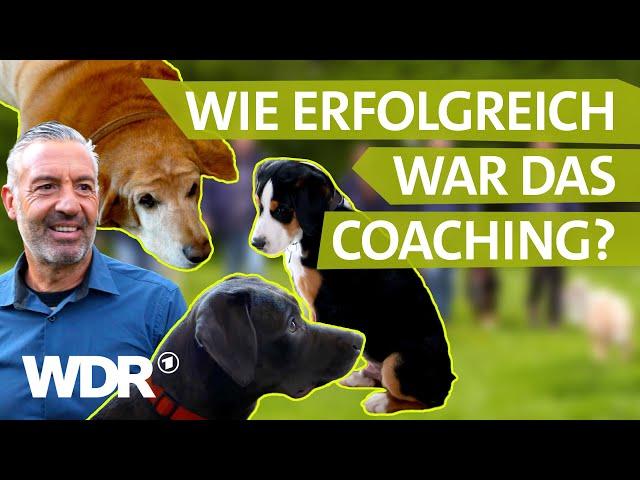 Das Wiedersehen: So haben sich Mensch & Hund entwickelt | Hunde verstehen | S04/E05 | WDR