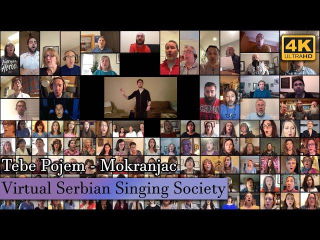 (4K) VSSS Virtual Choir - "Tebe Pojem" Mokranjac