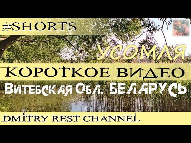Берег, Озеро... Усомля... Беларусь #shorts