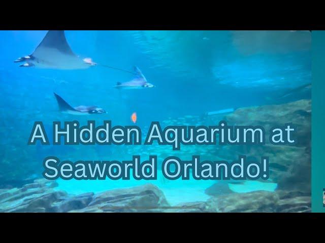 Seaworld Orlando Manta Aquarium Full Walkthrough  March 2025!