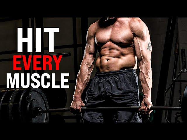 The ONLY 5 Exercises You Need to Hit EVERY Muscle in Your Body (FULL BODY)