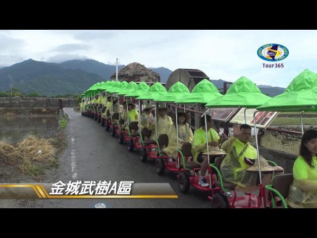 台東旅遊池上拉拉車/縱橫天下國內外團體旅遊365#台東旅遊池上拉拉車