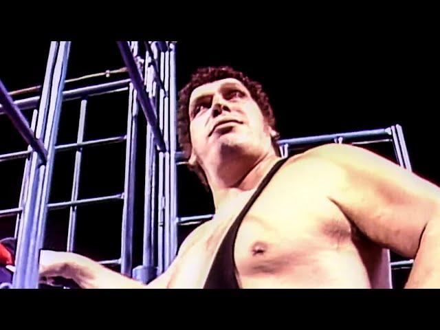 A special tribute to Andre the Giant