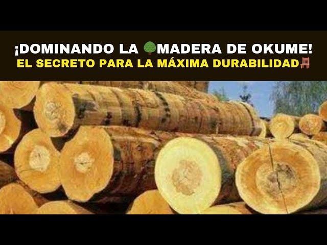 ¡Dominando la MADERA DE OKUME! El Secreto para la Máxima Durabilidad🪑