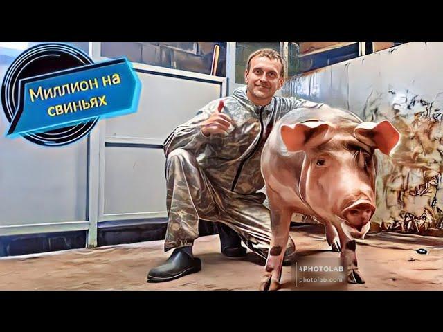Распродаю всё своё элитное поголовье.