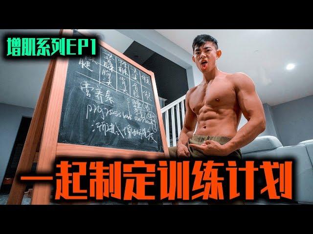 【一起制定训练计划】增肌期最容易犯的错误！如何分化训练.The Discipline Series.EP1