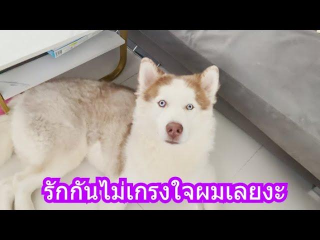 รักกันไม่เกรงใจผมเลยงะ | ข้าวเหนียว ขี้กระโปกหมา