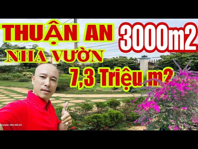 NHÀ VƯỜN NGHỈ DƯỠNG 3000m2 THUẬN AN RẺ HƠN CỦ CHI Gần Sông Sài Gòn Có Vườn Cây Ao Cá | #nhavuon