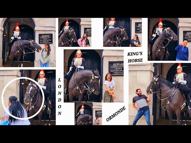 ORMONDE: The King's Horse That No One Messes With Him At Horse Guards, London