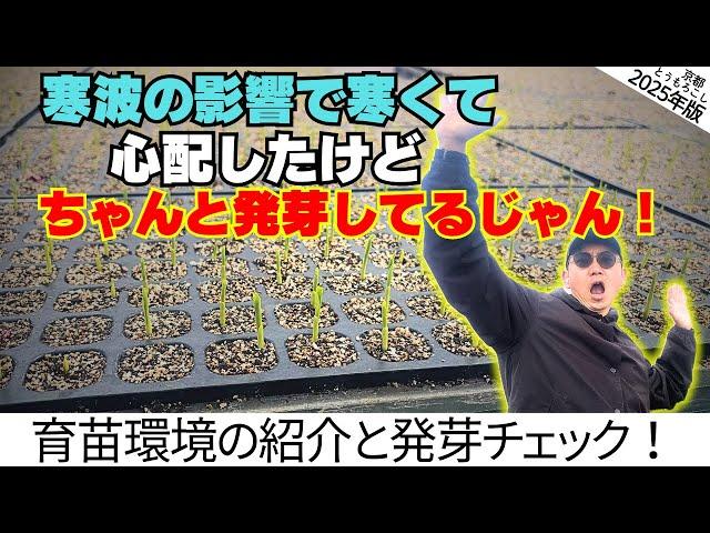 育苗空間の紹介&１回目に播種したトウモロコシの発芽チェック！