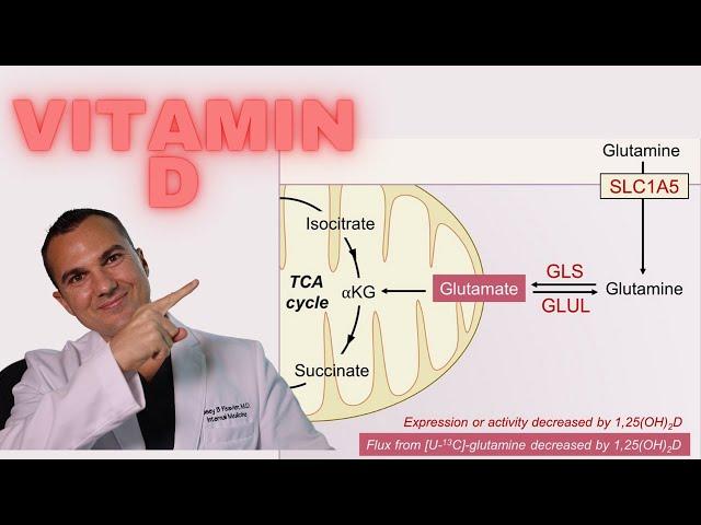 Vitamin D KILLS Cancer: BLOCKS Glutamine Uptake and Utilization