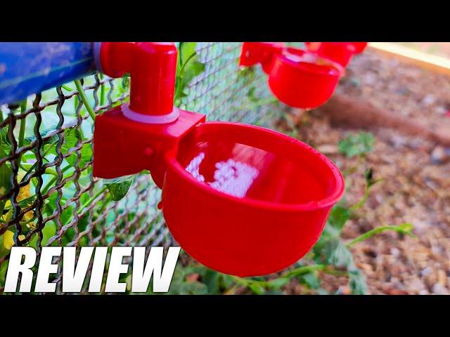 RentACoop Automatic Chicken Water Cup Waterer Kit for Poultry Review