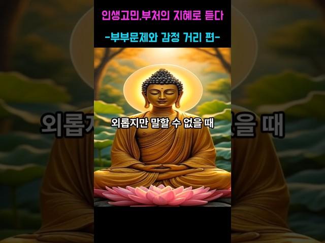 인생고민 부처님의 지혜로 듣다-부부문제와 감정 거리편- 제7화 외롭지만 말할수 없을때  #부처님말씀 #명언 #자기수행 #부처님가르침 #인생고민 #삶의고민   #수행